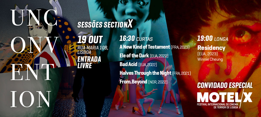 SectionX na Unconvention